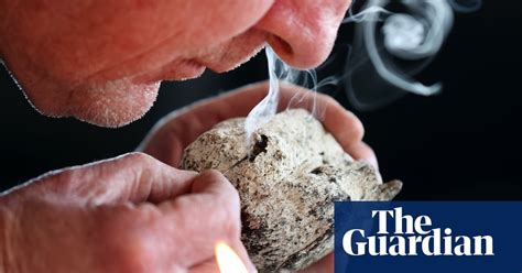 ambergriz videos|Rare, precious, smells like whale: hunting for ambergris in New .